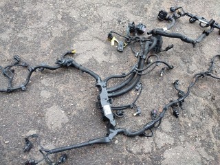 Проводка двигателя, ориг. номер 8599696, 738008905, BMW 5 G30/G31 restailing