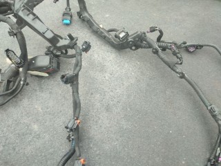 Проводка двигателя, ориг. номер DV5RC, YHZ, D15DTH, 4533394, 453339405, Citroen C4 Picasso