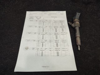 Форсунка, ориг. номер 0445110230, Renault Megane 2002-2006