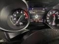 Alfa Romeo Stelvio 1 поколение 2019г. 2.0 л., бензин, АКПП - фото №2