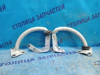 Петли крышки багажника, ориг. номер 8240339, 8240340, BMW 7-Series