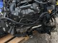 368DT Двигатель Land Rover Range Rover 3 2009г. - фото №9