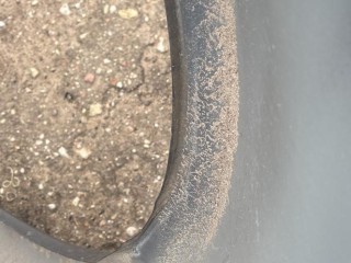 Крыло переднее правое, Land Rover Range Rover Sport 2009-2013