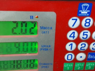 Шкив коленвала демпферный бензиновый, AUDI A8 D3 D3 2002-2005