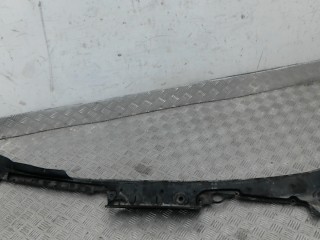 Накладка декоративная (жабо, дождевик), BMW 7 F01 F01 2008-2012
