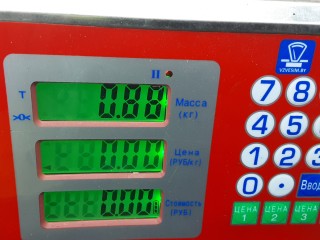 Петля капота, CHEVROLET CAPTIVA 1 1 2006-2011