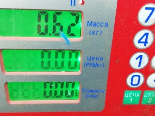 Бачок омывателя, ориг. номер A2048690520, MERCEDES BENZ C-CLASS W204 W204 2007-2011