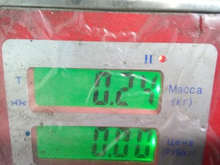 Защита двигателя верхняя, BMW 5 E60/E61 E60/E61 2002-2007