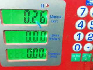 Корпус термостата бензиновый, SAAB 9-5 YS3E YS3E 2001-2005