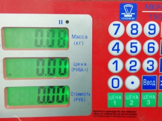 Ус под фару (ресничка) левый, BMW X5 E53 E53 1999-2003