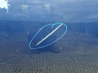 Дверь передняя правая, RENAULT MEGANE 3 3 2008-2014