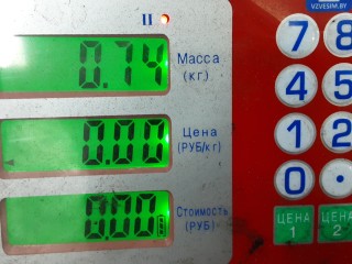 Форсунка дизельная, ориг. номер 038130079QX, VOLKSWAGEN SHARAN 2 2