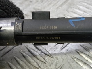 Форсунка бензиновая, ориг. номер 9822715980, PEUGEOT 2 2