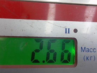 Шкив коленвала демпферный дизельный, KIA SORENTO 2 2 2009-2012