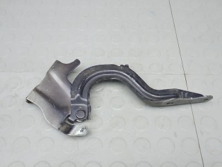 Петля капота, RENAULT KOLEOS 2 2 2016-2020