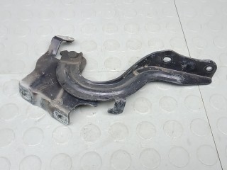 Петля капота, RENAULT KOLEOS 2 2 2016-2020