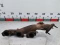 1334640, 4H2Q9431CB Коллектор выпускной Land Rover Discovery 2005г. - фото №3