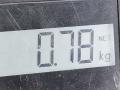 4717489AA, 04717489AA Электропривод Chrysler Voyager 1998г. - фото №4