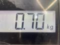 Защита днища Honda FR-V 2005г. - фото №4