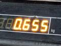 16600ES60A, 16600ES61B Форсунка Nissan X-Trail 2006г. - фото №7