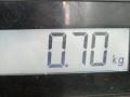 Подсветка номера Kia Carnival 2006г. - фото №5