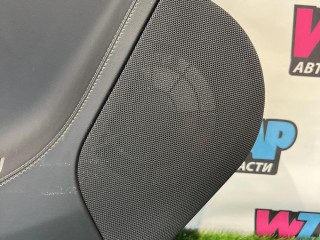 обшивка двери задней левой, ориг. номер 6007492-00, Tesla Model S 1 поколение [рестайлинг] 2016-2021