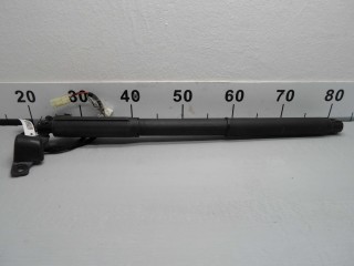 Амортизатор крышки багажника BMW X5 E70 - 2006-2010, внедорожник 5 дв., 7172060