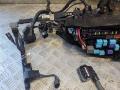 Проводка двигателя Toyota Rav 4 (XA50) 2021г. - фото №4