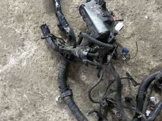 Проводка Nissan Navara (D40) Пикап 2005-2010, 24381C9900