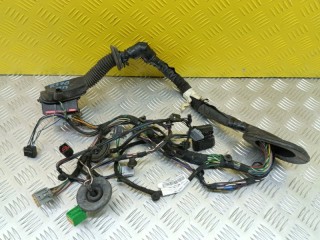 Проводка двери передняя правая, ориг. номер 5H3214631GA, Land Rover Range Rover Sport I 2005-2009