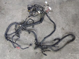 Проводка двигателя Nissan Pathfinder (R51M) Внедорожник 2004-2010