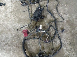 Проводка двигателя Mitsubishi L200 Пикап 2005-2006, 8501A333