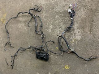 Проводка двигателя Mitsubishi L200 Пикап 2005-2006, 8501A333