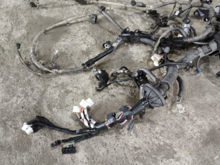 Проводка двигателя, ориг. номер 8213AKKX20, Toyota Hilux Пикап 2020-2026