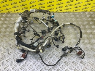 Проводка двигателя Ford F150 P552 Пикап 2014-2018, FU5T12C508
