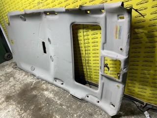 Потолок, ориг. номер 739104X53A, Nissan Pathfinder (R51M) Внедорожник 2004-2010