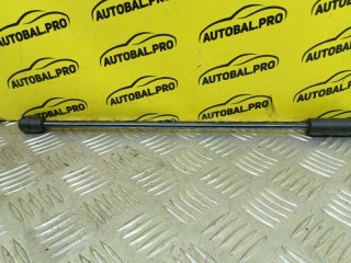 Амортизатор капота Exeed LX, 554000255AA