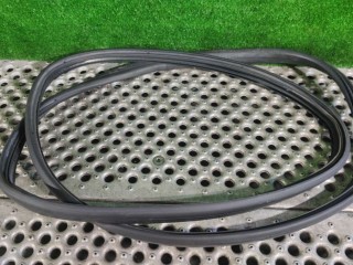 Уплотнитель двери задней правой, Renault Scenic 3 2009-2012