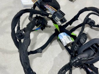 Дверная проводка передней левой, ориг. номер F2GT14631ABJ, Ford Edge 2 2015-2018