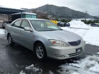 Накладка двери, ориг. номер 7507533050E0, TOYOTA CAMRY 2001-2004