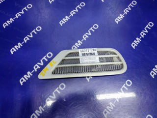 Накладка кузова, ориг. номер 62906-60050, TOYOTA LAND CRUISER 1998-2002