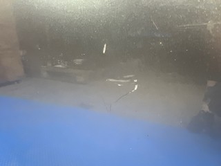Дверь, ориг. номер 6700178010, 6861078010, 6810178020, LEXUS NX200t
