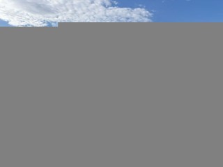 Рычаг, ориг. номер 4878, 4874020050, 4871020190, TOYOTA CORONA 1987-1993