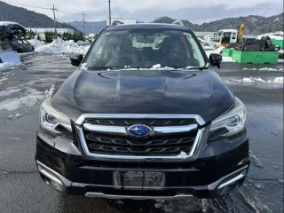 Уголок жабо, SUBARU FORESTER 2015-2016