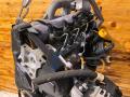 F9Q744, F9QQ744 Двигатель Renault Scenic 2003г. - фото №4