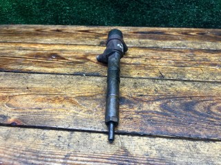 Форсунка, ориг. номер 0445110243, Opel Astra 1998-2009