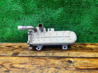 Радиатор EGR, ориг. номер 038131513D, Volkswagen Golf 1997-2006