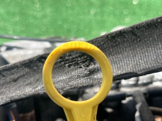 Щуп двигателя, ориг. номер 24461577, Opel Vectra 2002-2005