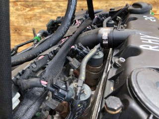 Форсунка, ориг. номер 0445110062, Citroen Berlingo 1996-2003