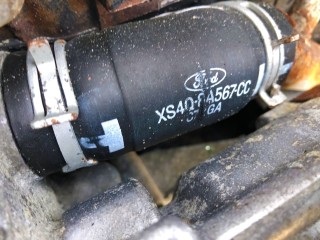 Патрубок радиатора, ориг. номер XS4Q8A567CC, Ford Focus 2001-2005